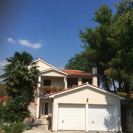 Palm Tree Daire *